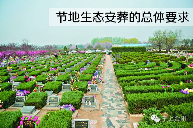 生态安葬